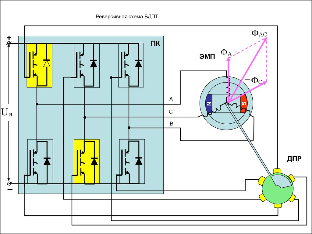 read Tissue-Specific Stem