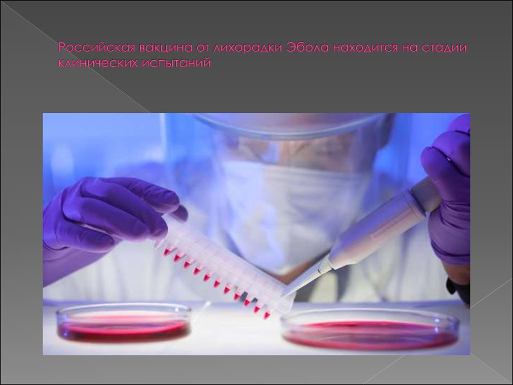 Российская вакцина от лихорадки Эбола находится на стадии клинических испытаний