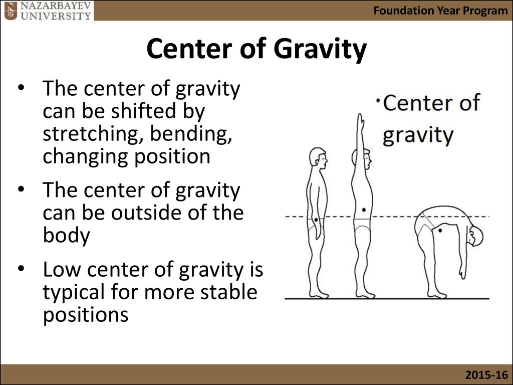 the-mechanics-in-biomechanics-online-presentation