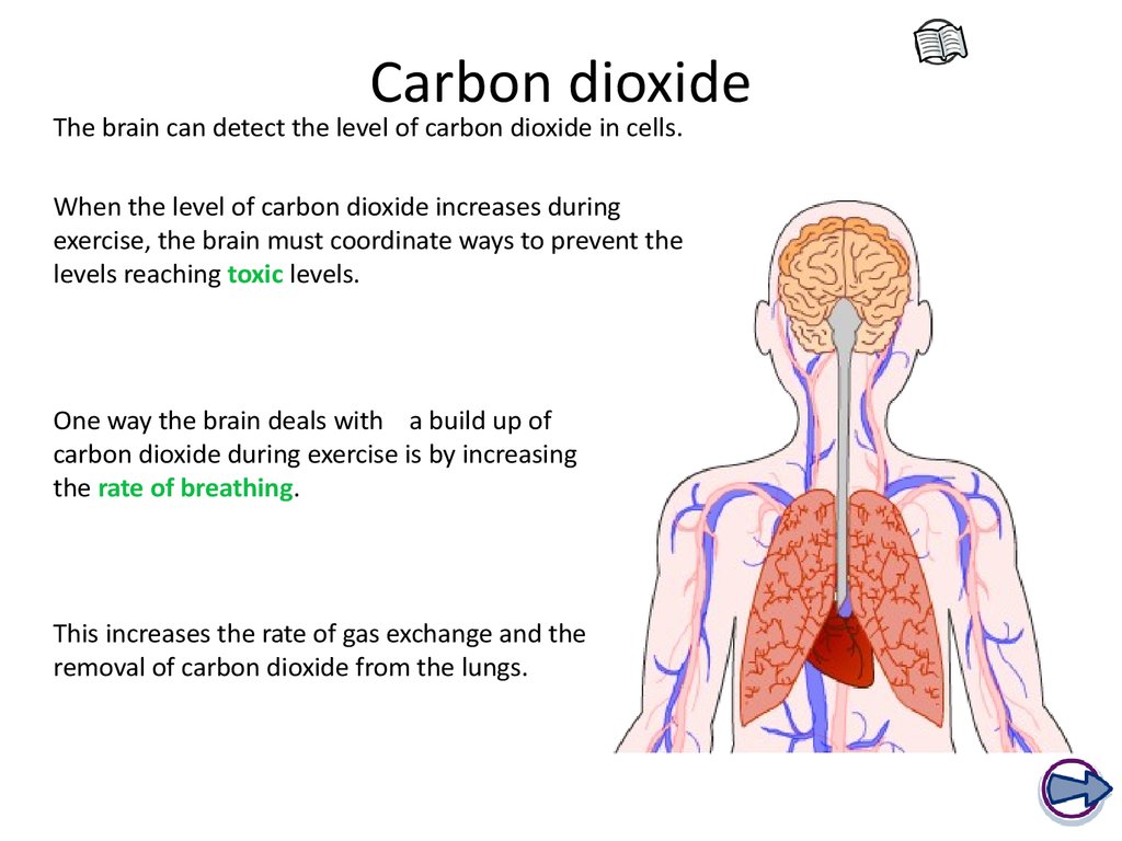 carbon dioxide in blood