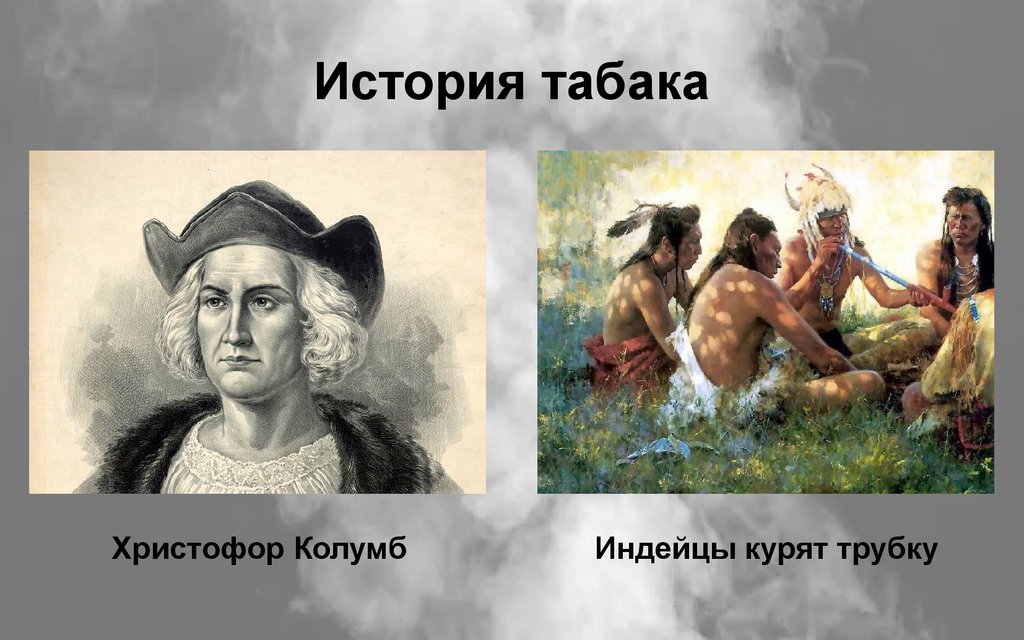 Колумб и табак картинки