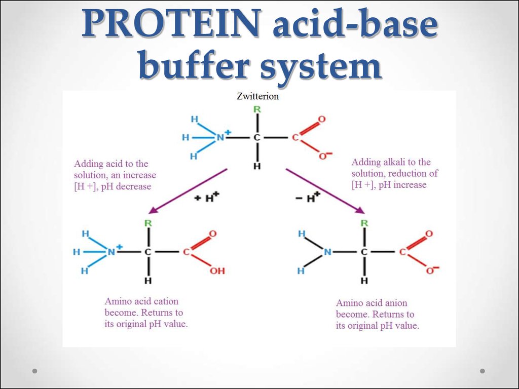 Solutions. Acidbase equilibrium in biological systems презентация онлайн