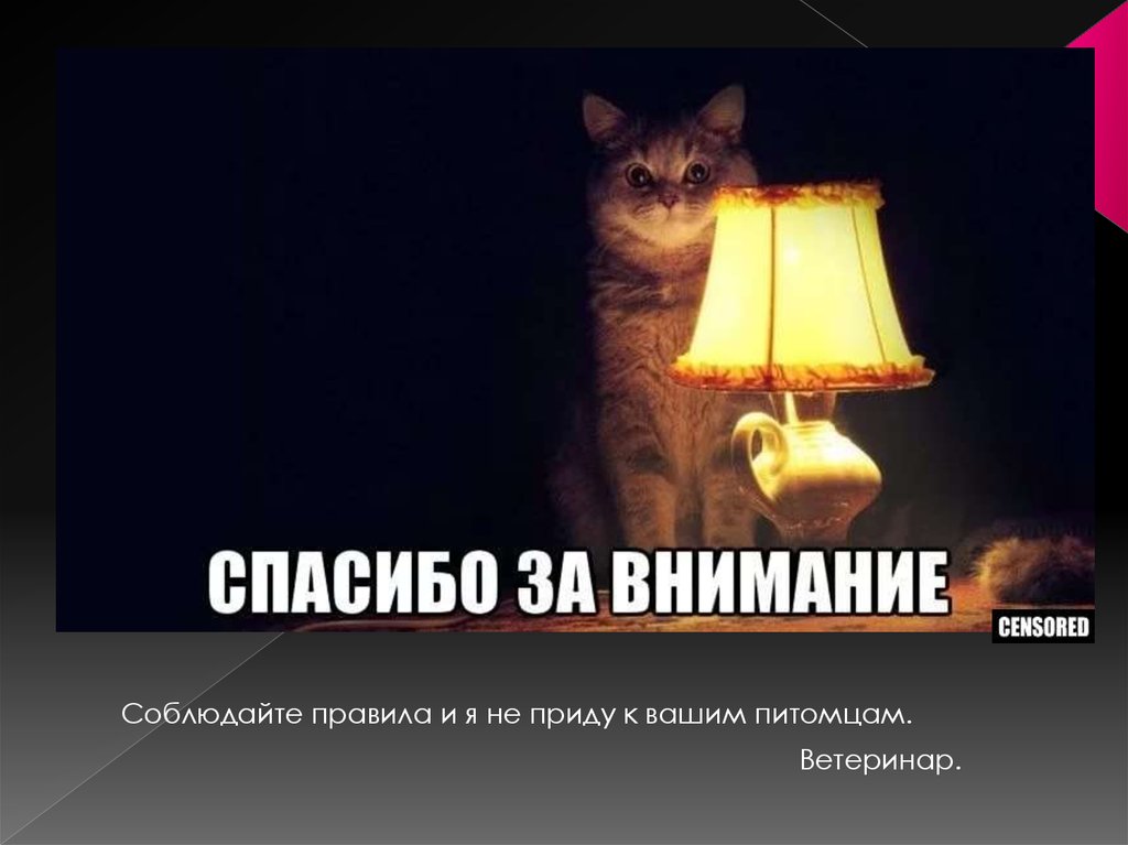 Моделирование разных видов рукавов. Обсуждение на LiveInternet Мобили для кроватки новорожденного своими руками из фетра: выкройки