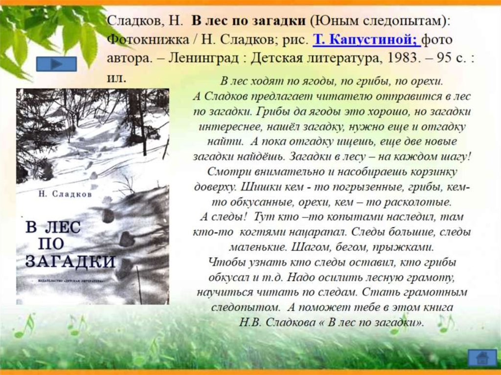 Рассказы н и сладкова лес не школа а всему учит презентация