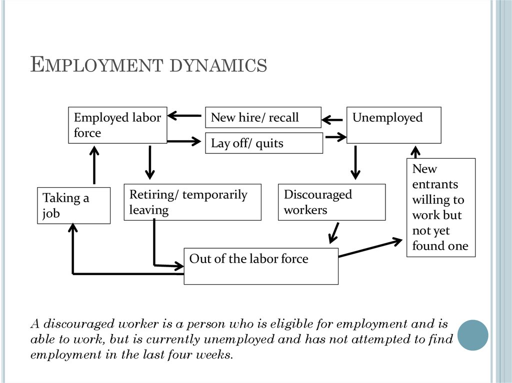 Employment dynamics