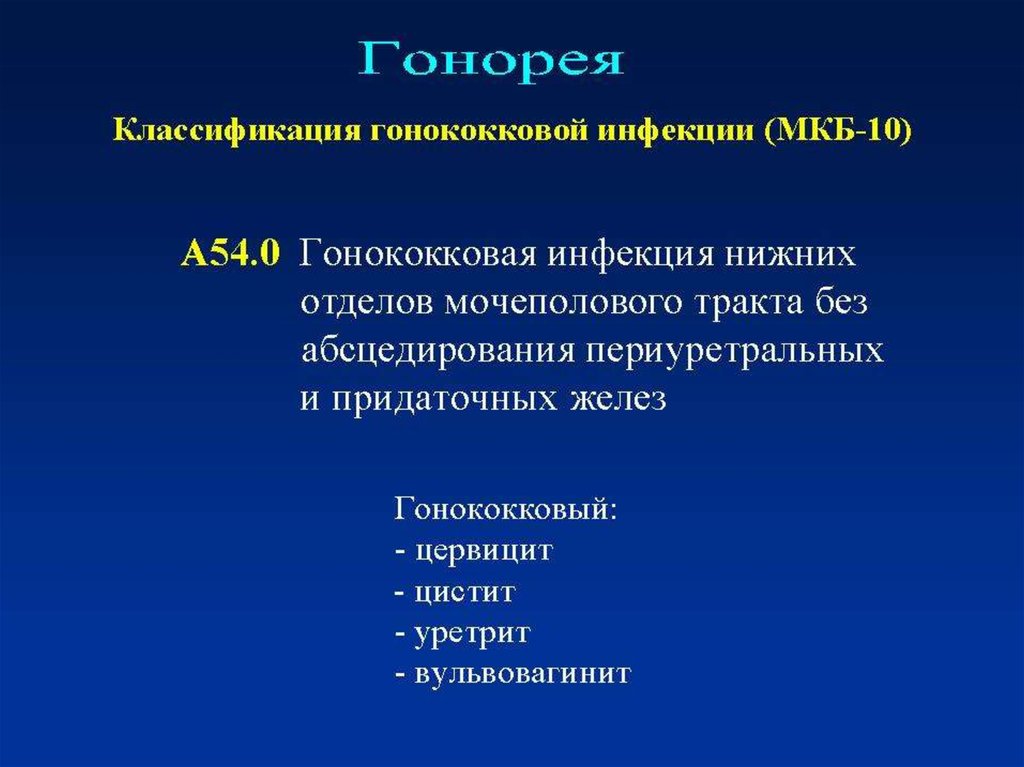 операции владивостокских крейсеров