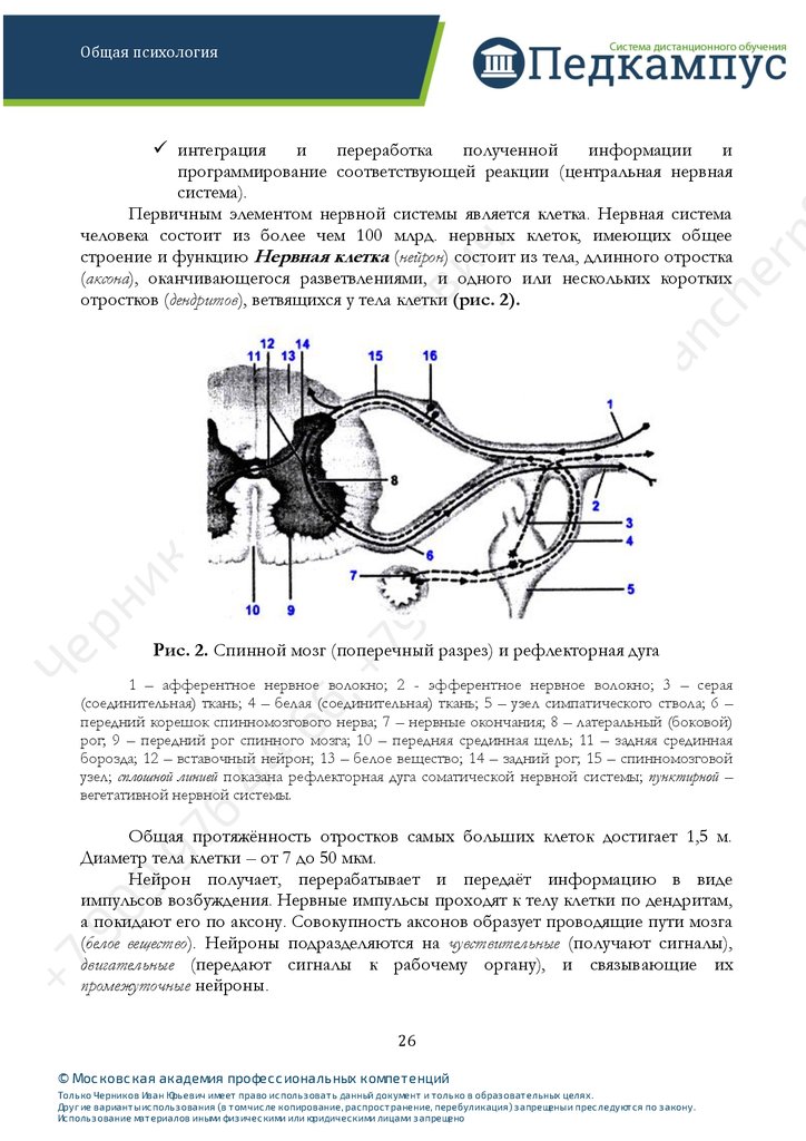 free Fiesers' Reagents for Organic Synthesis