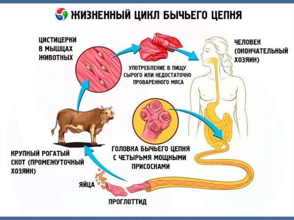 read Документационное