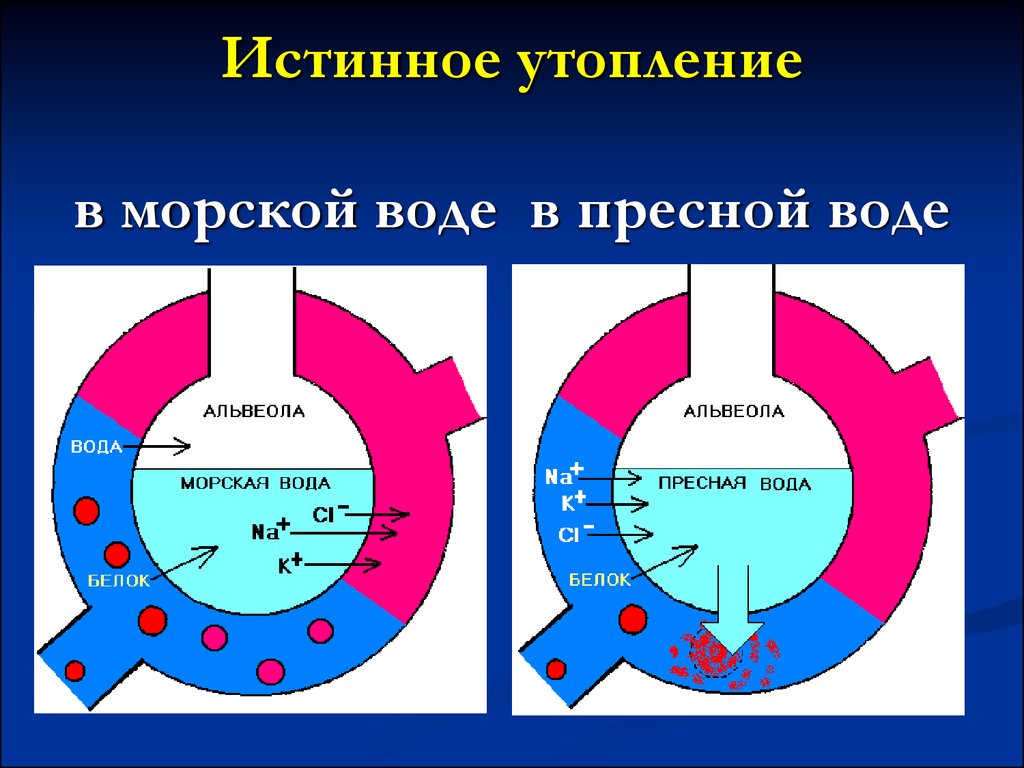 download liquid chromatography time of flight