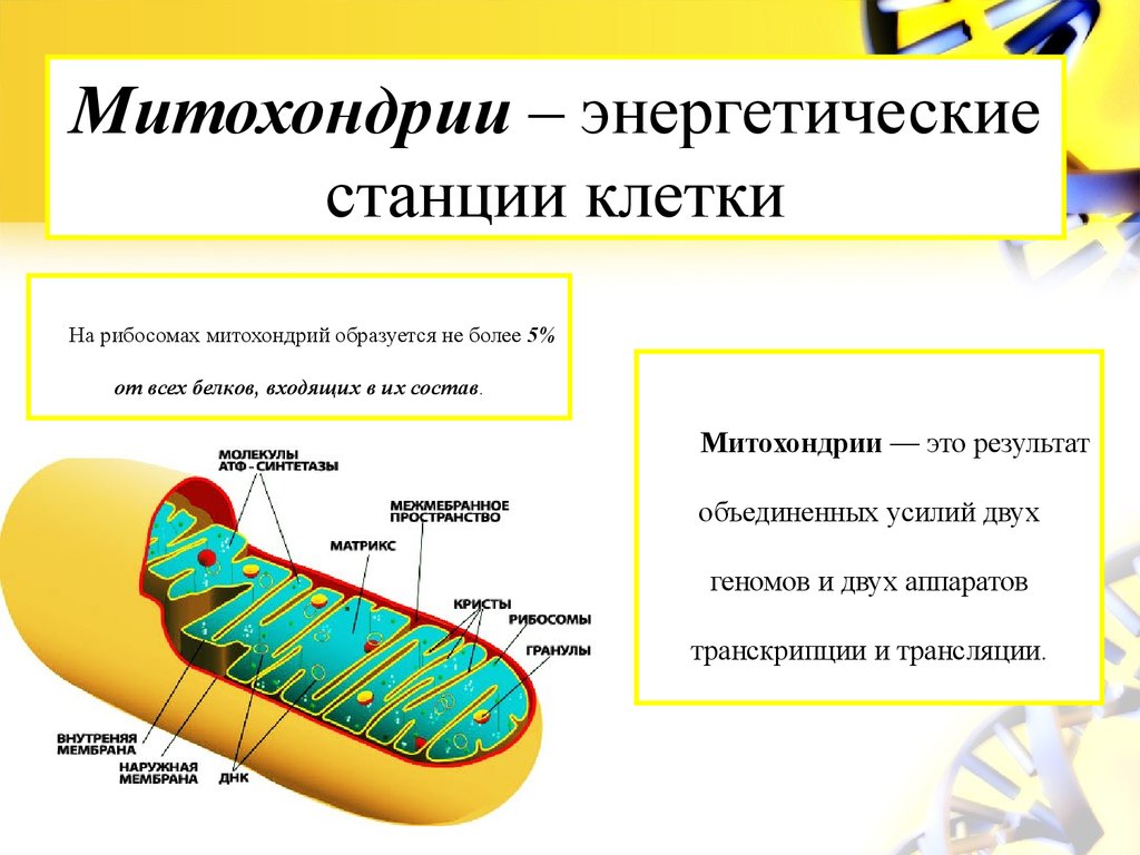 view кратак преглед српске