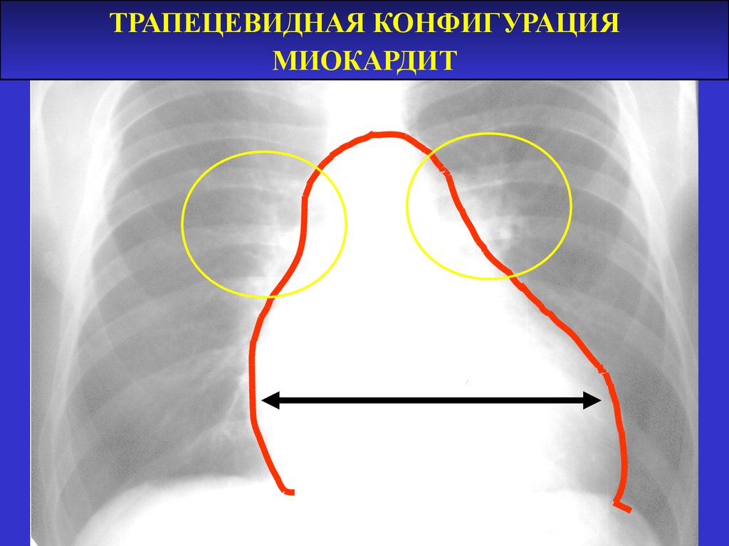 read мир русского