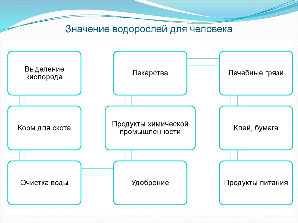 free causal categories in discourse and cognition 2009