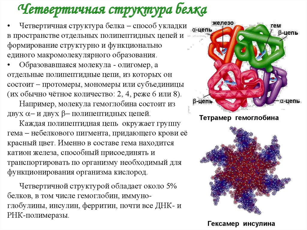 Рисунок четвертичной структуры белка