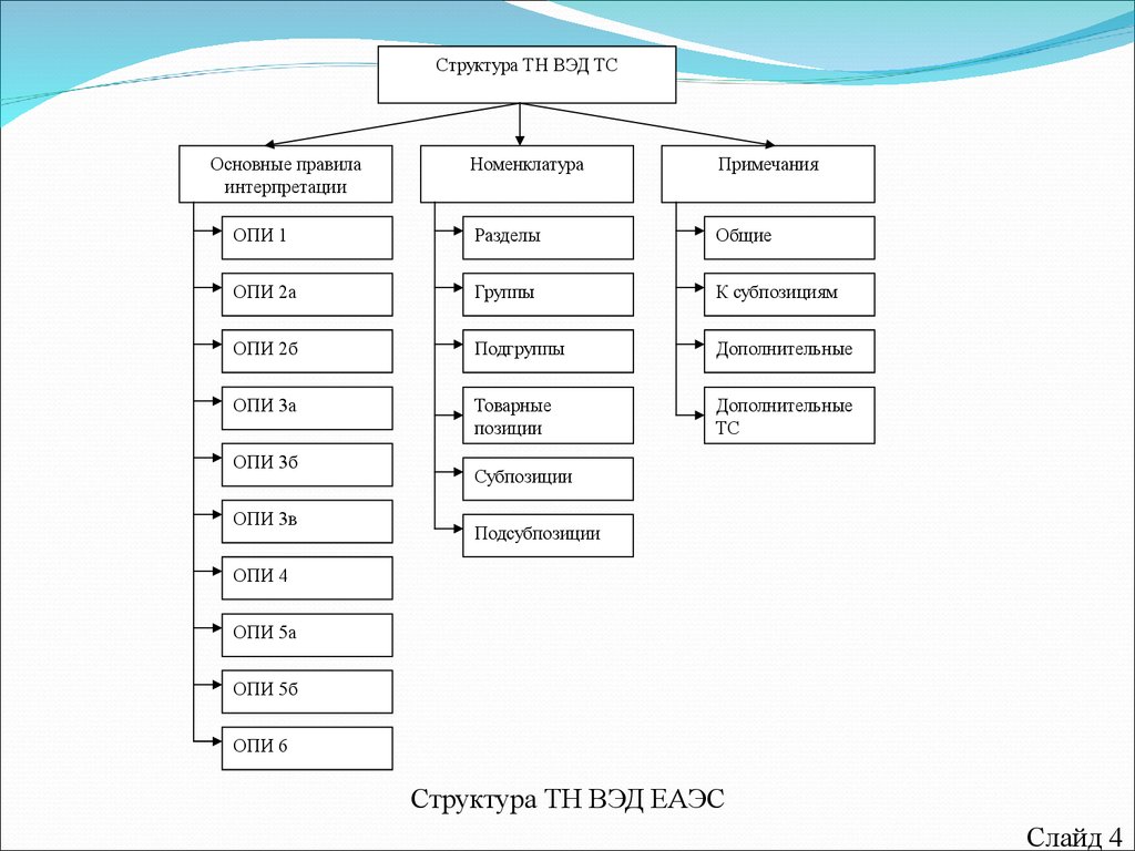 Структура тн вэд еаэс презентация