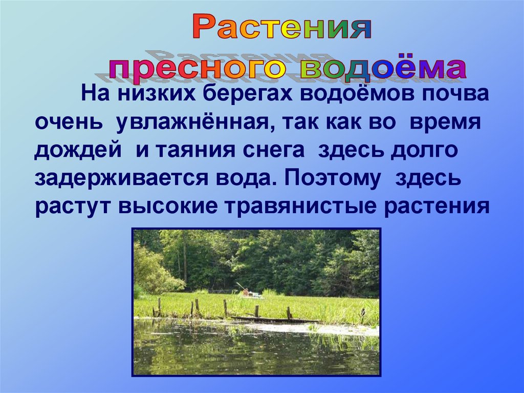 Растения пресных водоемов 2 класс 21 век презентация