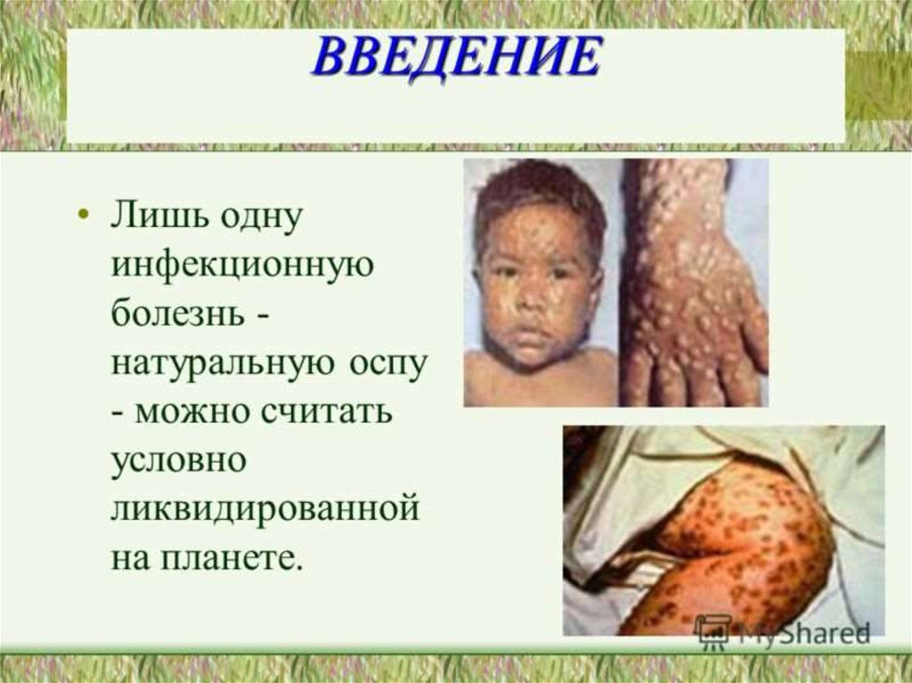 Как долго болит спина после прививки от дифтерии