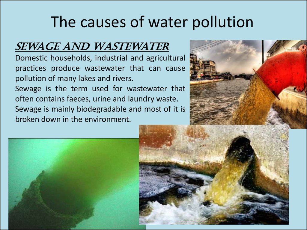 What Is Water Pollution And Its Causes Effects Types Prevention The