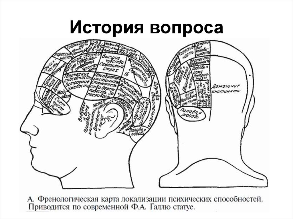 Немая карта мозга