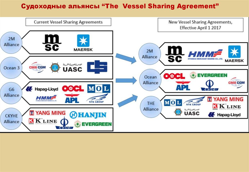 Судоходные альянсы “The Vessel Sharing Agreement”