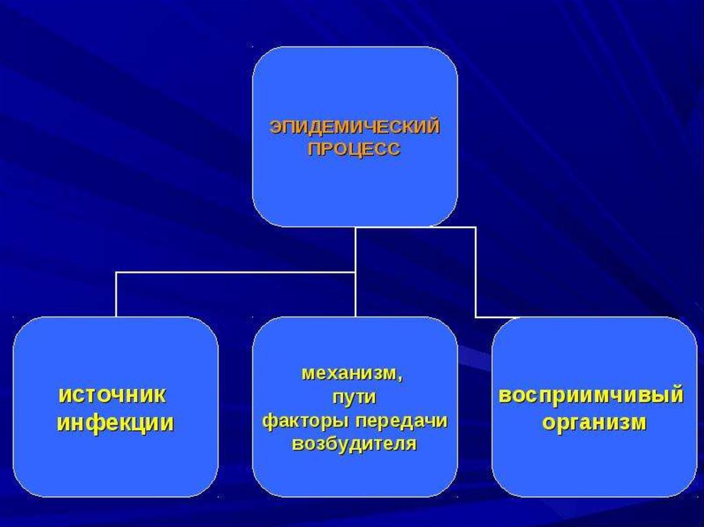 oxygen transport to