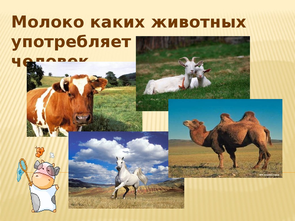 Учебник казахского языка для