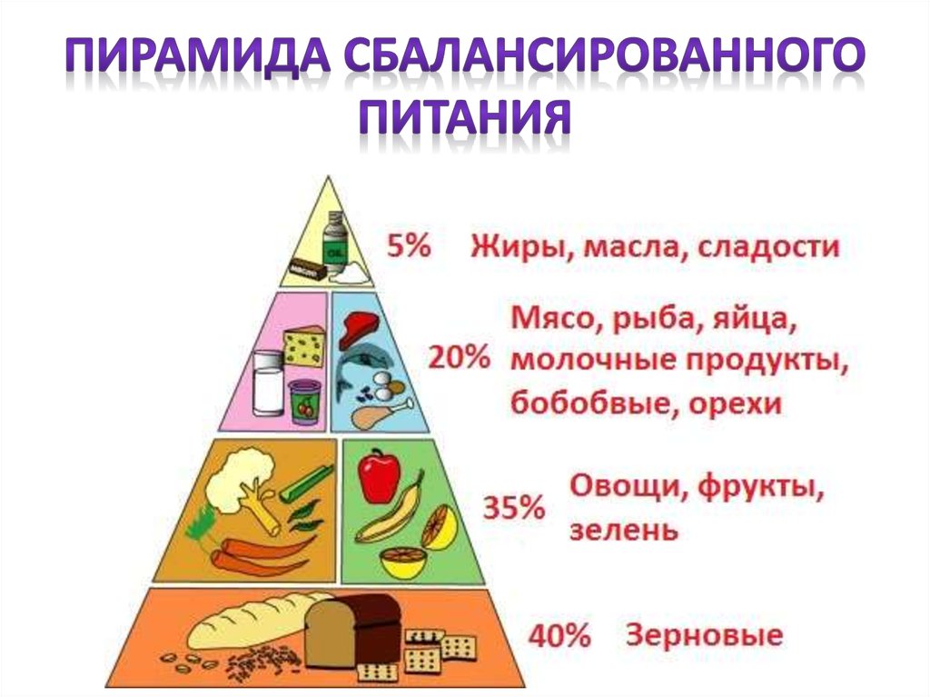 Пищевая Пирамида Правильного Питания