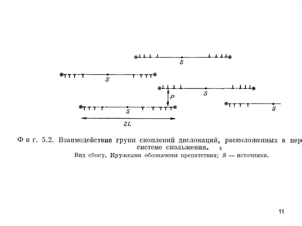 epub wolf and man evolution in parallel