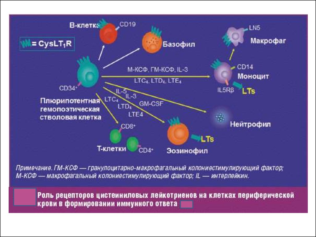 view world bank hiv aids interventions ex ante and ex post