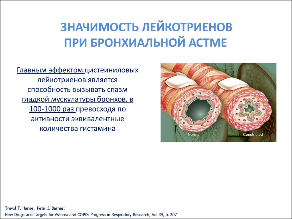 download maturation phenomenon in cerebral ischemia iv