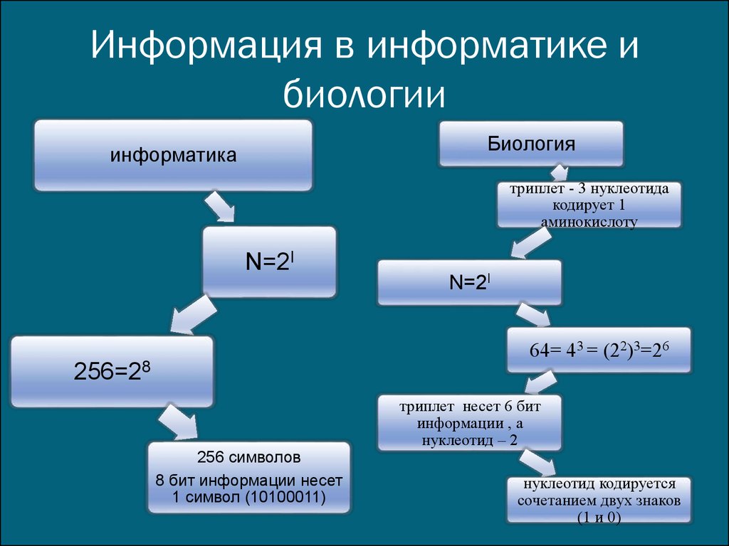 Anaphora Resolution and Text Retrieval