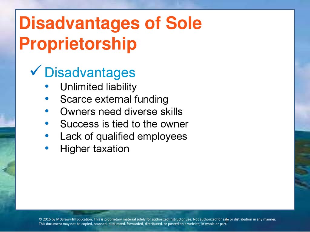 sole-proprietorship