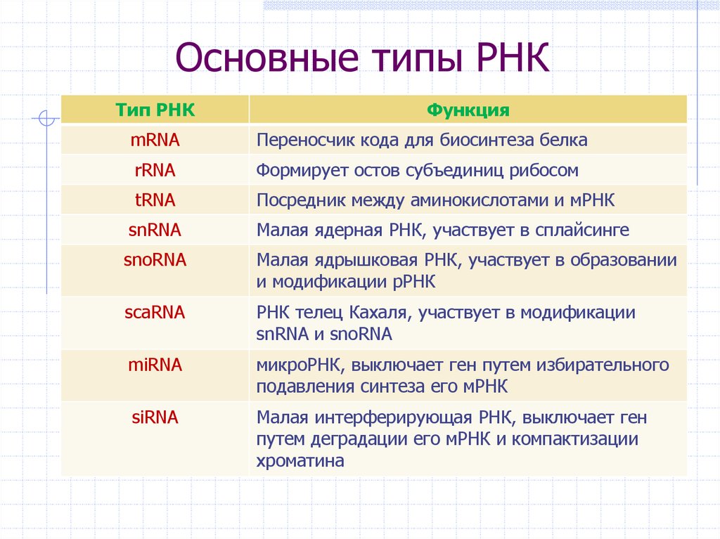 Виды рнк картинки