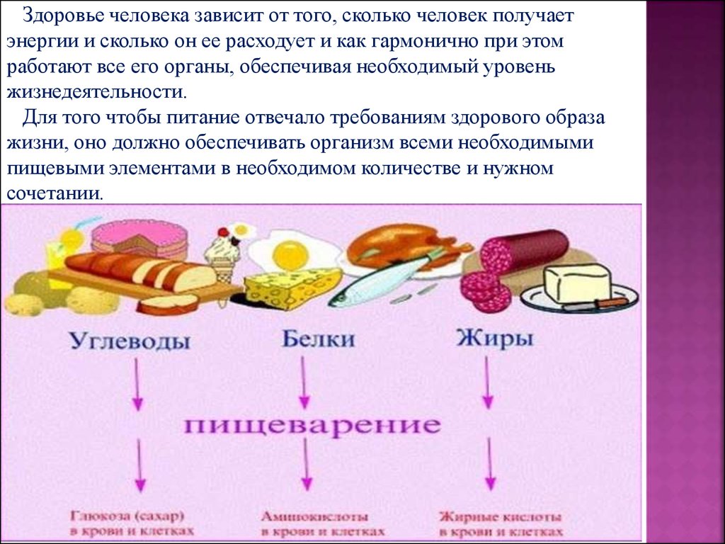 когнитивный механизм метафоризации сленга на материале русского