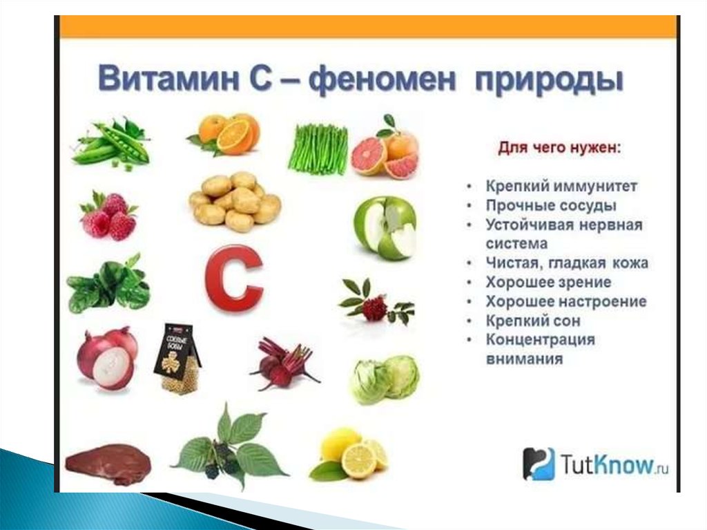 Фрукты с витамином с в картинках