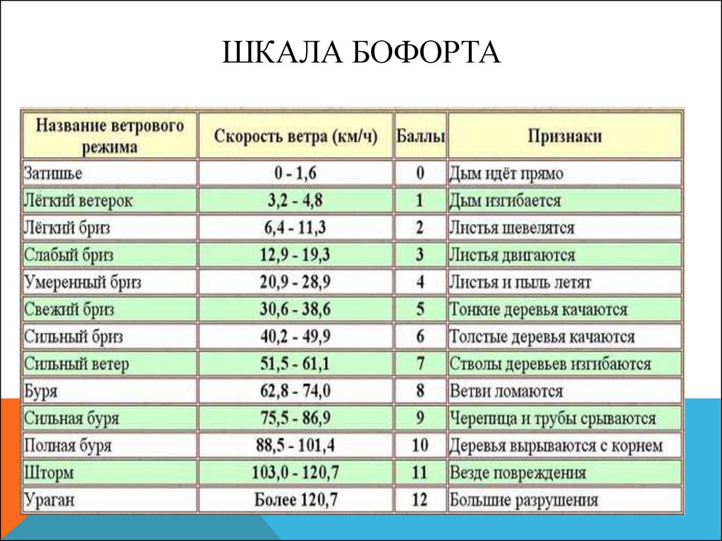 Шкала бофорта с картинками