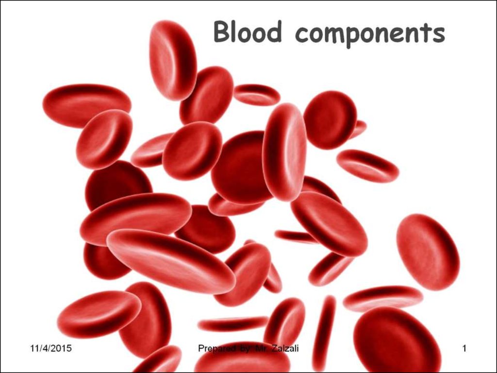 what is blood explain its components