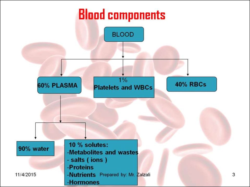 Blood Components Handouts Online Presentation