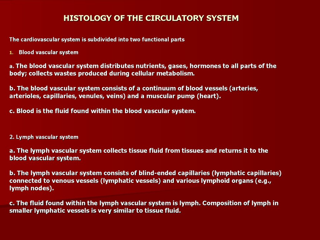 Histology of the circulatory system - презентация онлайн