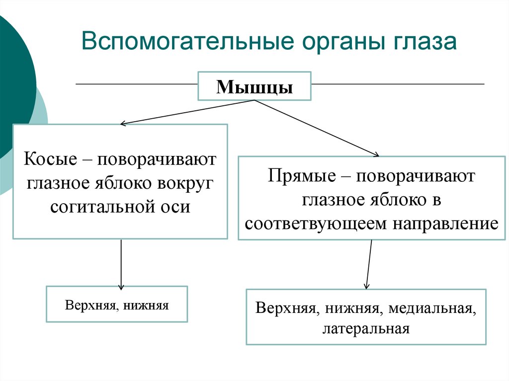 buy педагогические советы в свободной