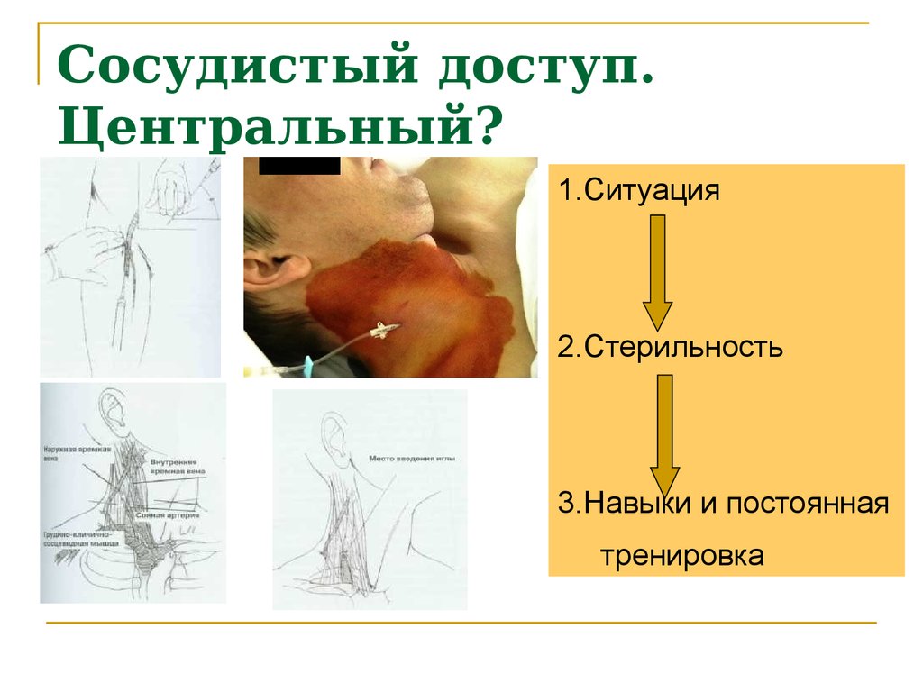 online американский прагматизм