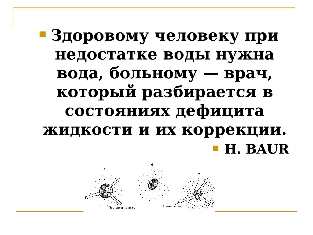 ebook Contemporary Belarus: Between Democracy