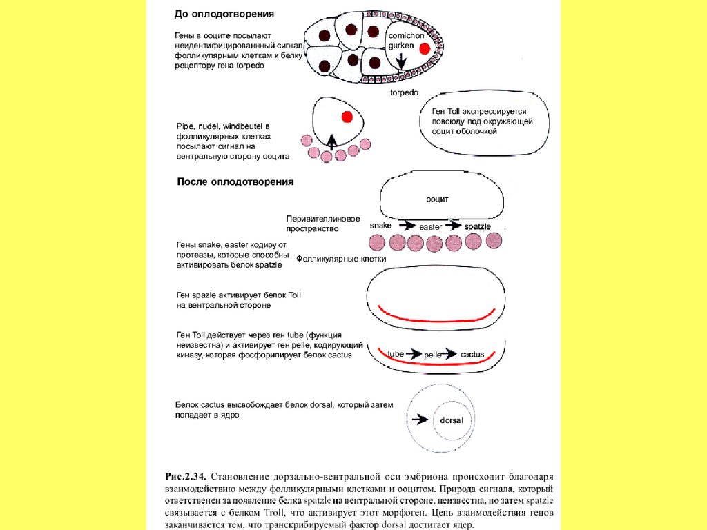 read Theory