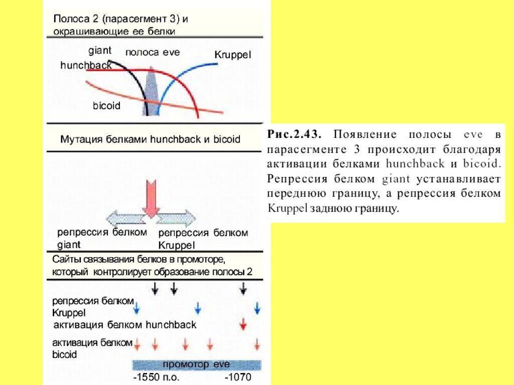 shop die typentheorie und die molekularformeln eine übersicht für studirende der chemie