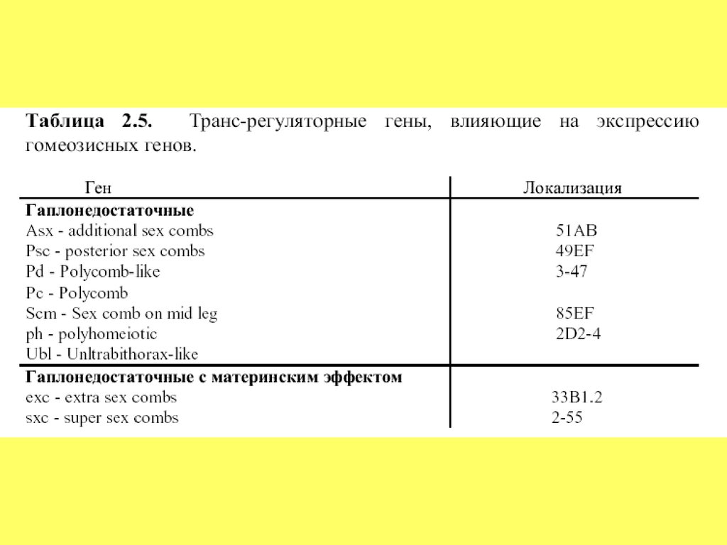 модель патогенеза псориаза часть 1 системный