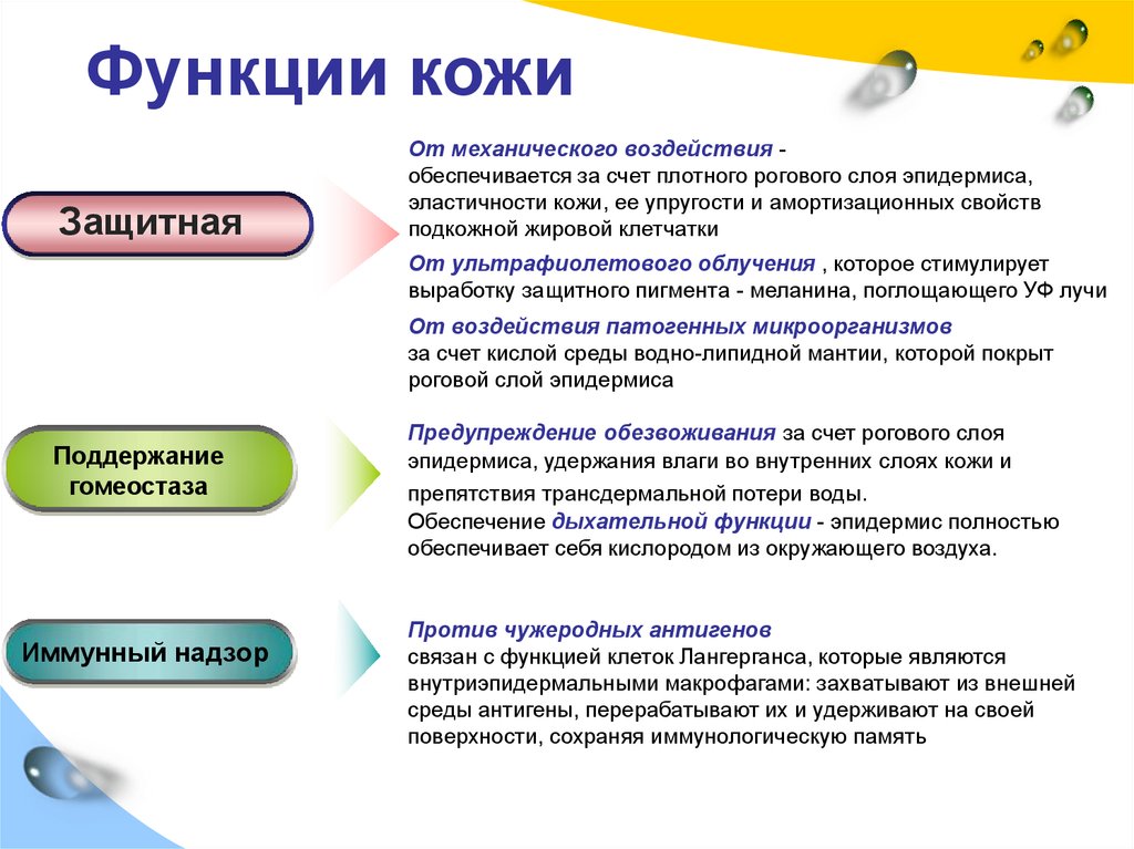 Самодельный фонарик на светодиоде светодиоды Самодельный фонарик на светодиоде светодиоды