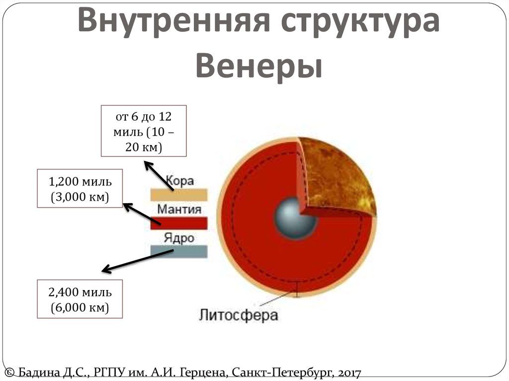 Строение венеры картинка