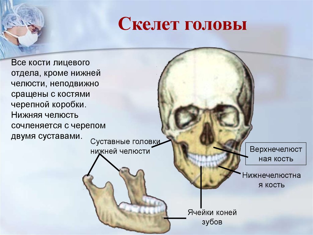 online биологические основы получения высоких