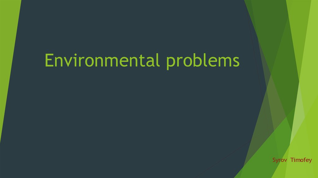 Environmental Problems: essays research papers