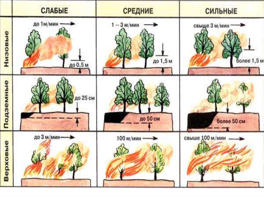 экстракция как метод разделения и концентрирования