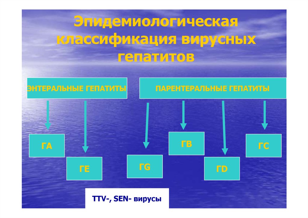 Вирусные гепатиты от иерсиниоза